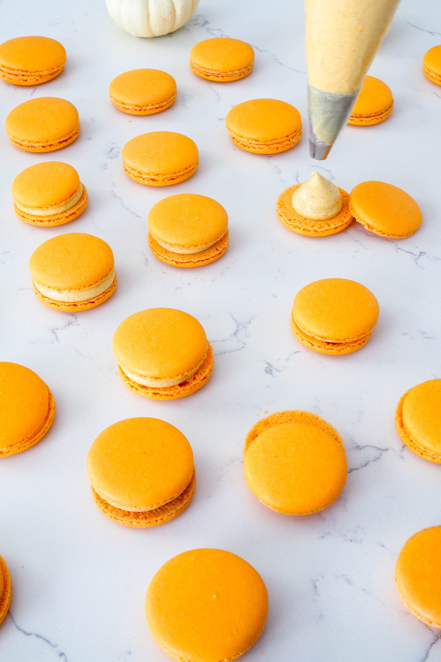 A piping bag fills one macaron, with a smattering of other macarons, filled and unfilled, around it.