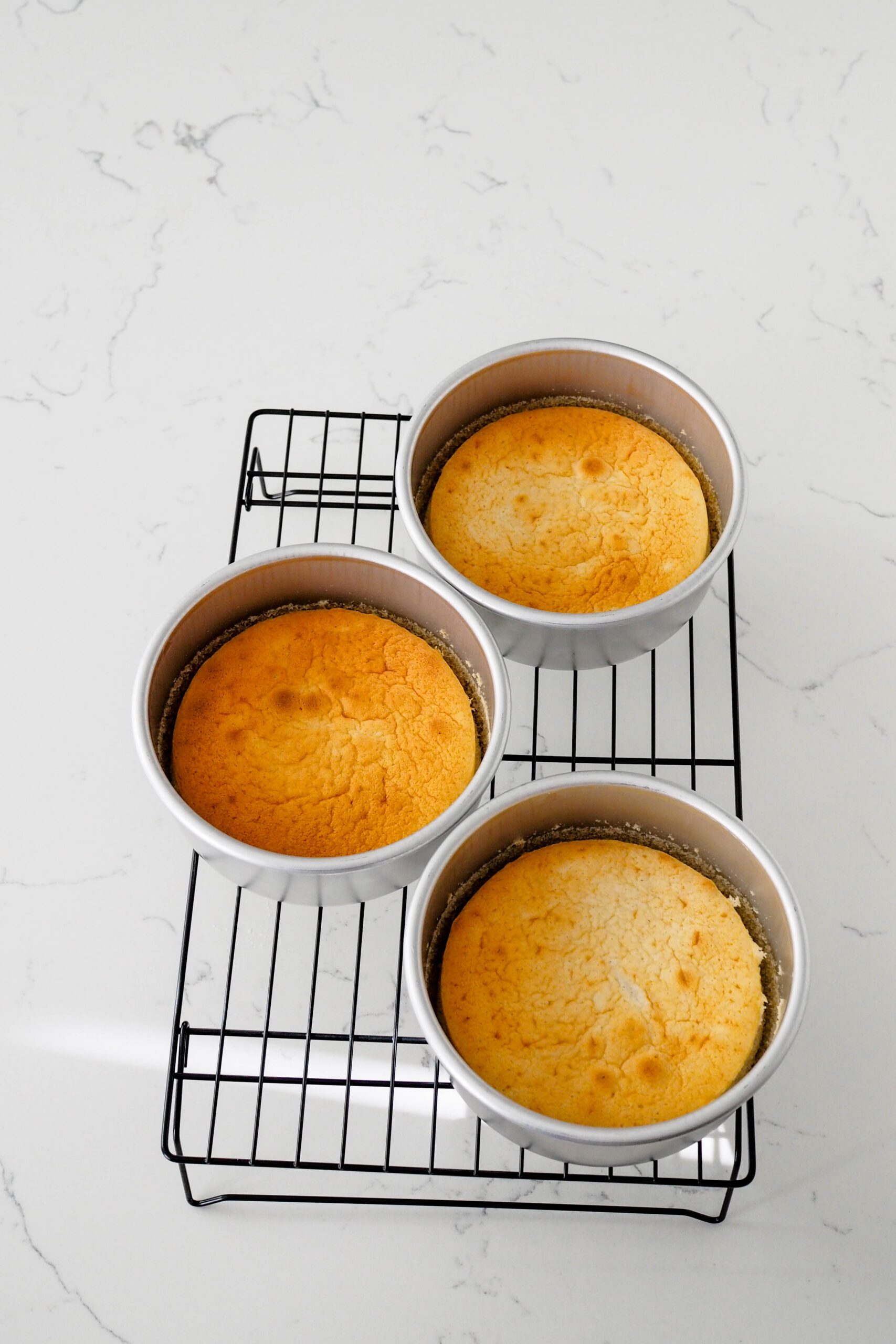 Three baked 6" cakes cool in the pan over a cooling rack.