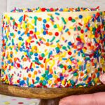 Hands bring a mini confetti layer cake on a wooden stand to the photo.