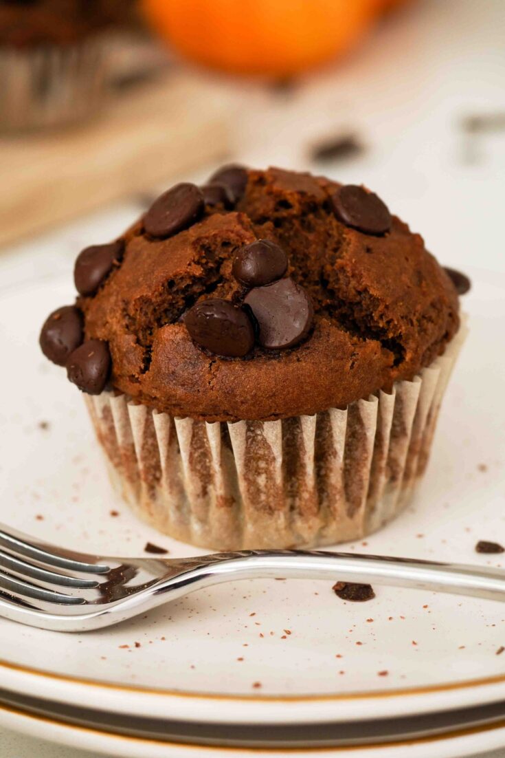 A closeup of a chocolate pumpkin muffin with chocolate chips on top.