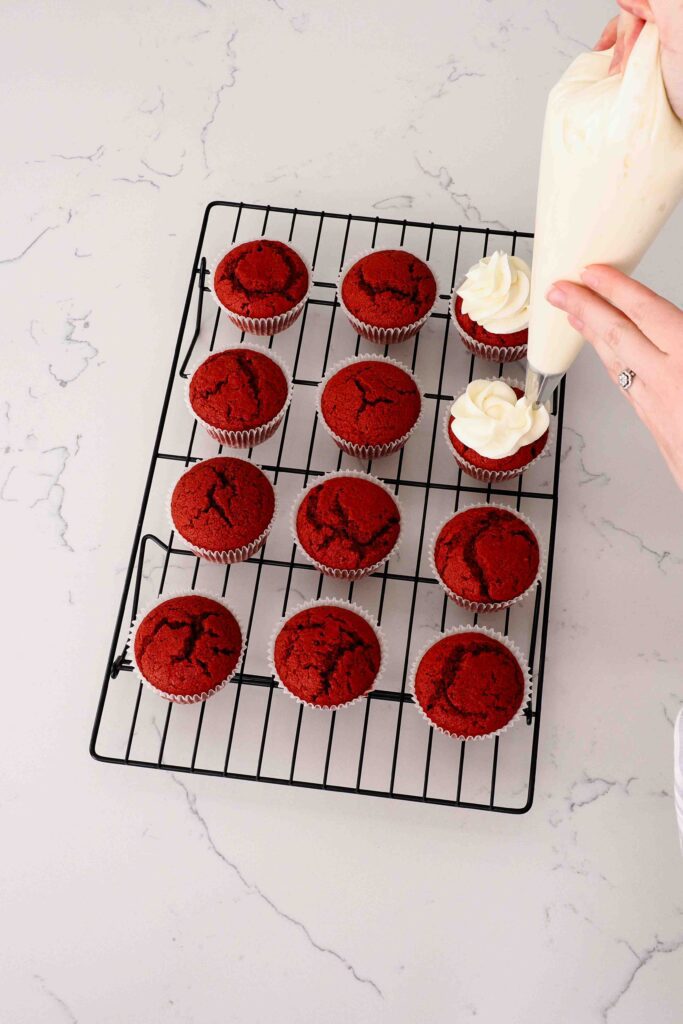 Two hands pipe cream cheese frosting on top of cooled red velvet cupcakes.