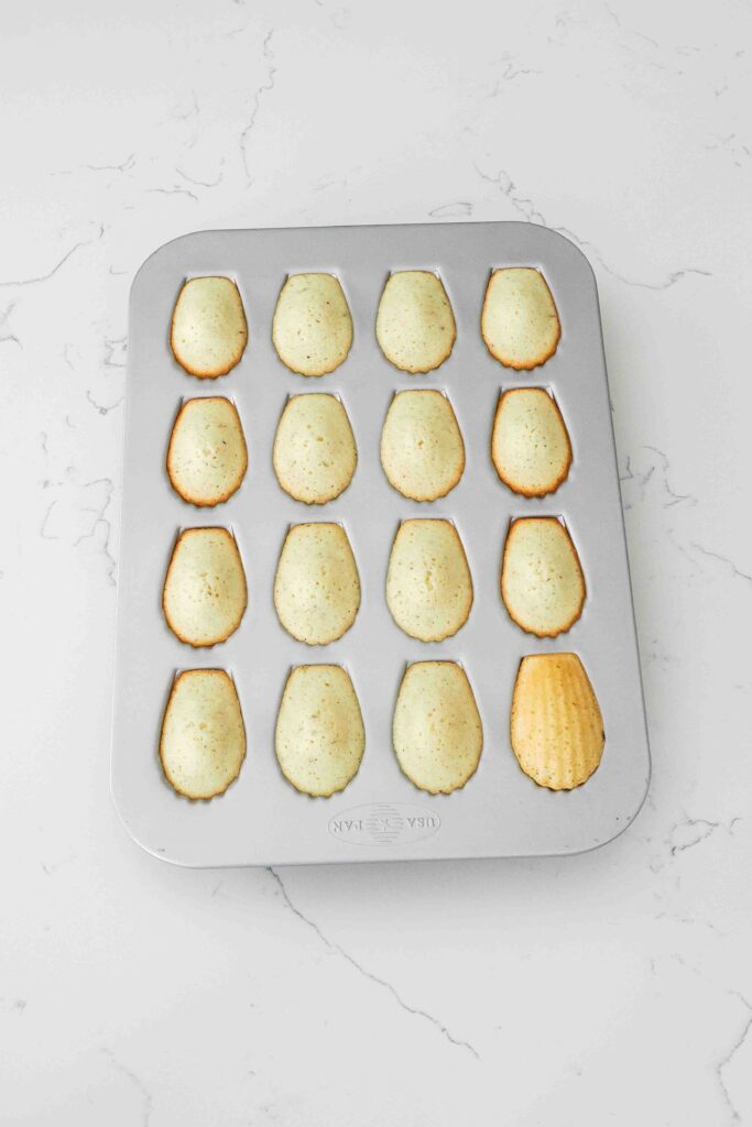 Baked lavender madeleines in a madeleine pan, with one flipped over to show the golden edge.
