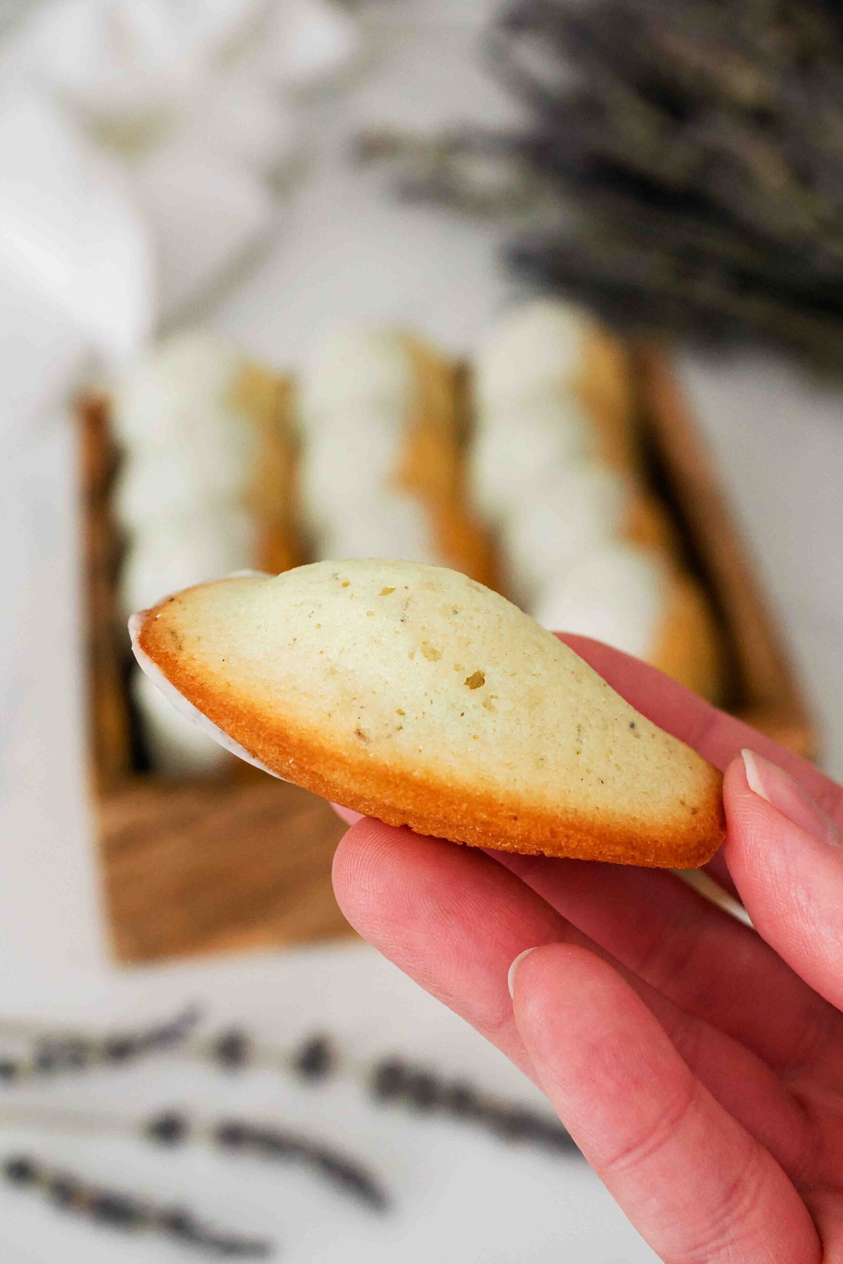 A hand holds up a lavender madeleine with a prominent hump.
