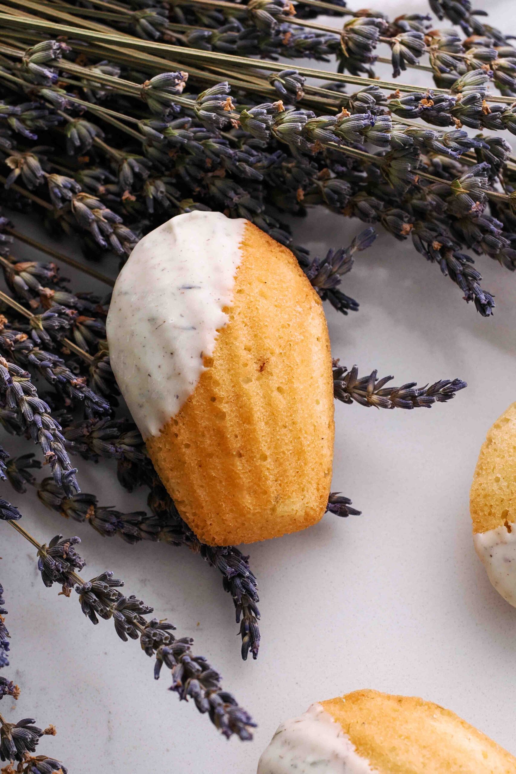 A single lavender madeleine on a bouquet of dried lavender flowers.