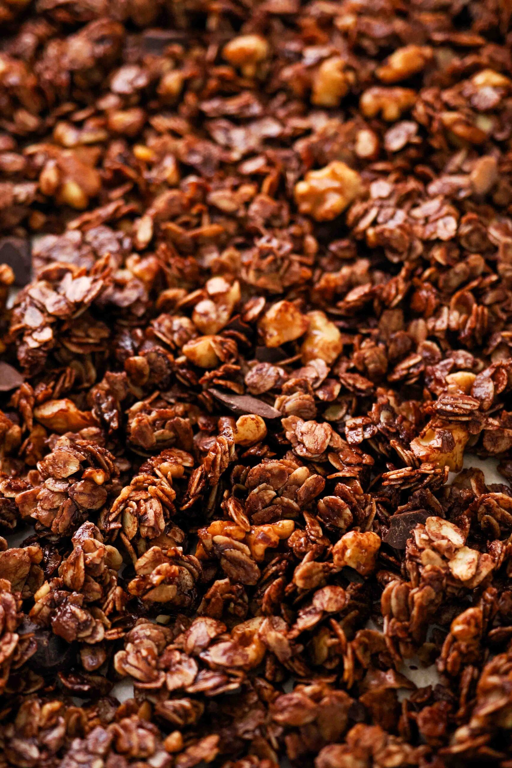A closeup of dark chocolate granola with walnuts and dark chocolate chunks.