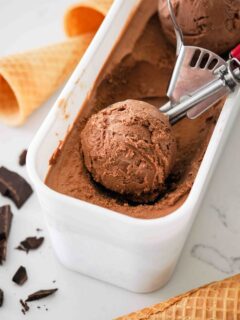 A scoop of double chocolate ice cream in the container.