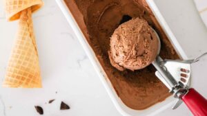 A scoop of double chocolate ice cream in the container.